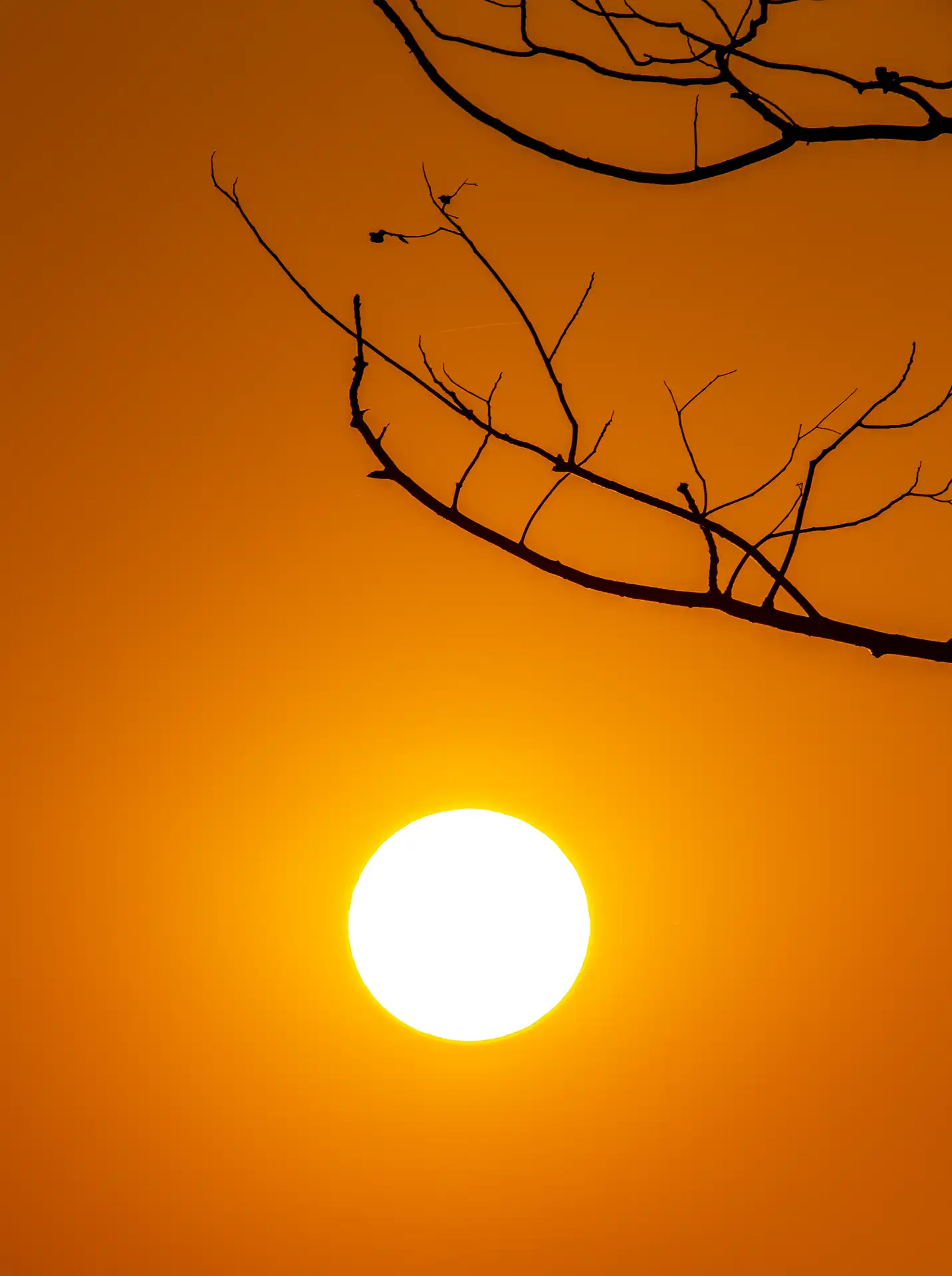 Oranje zonsopgang
